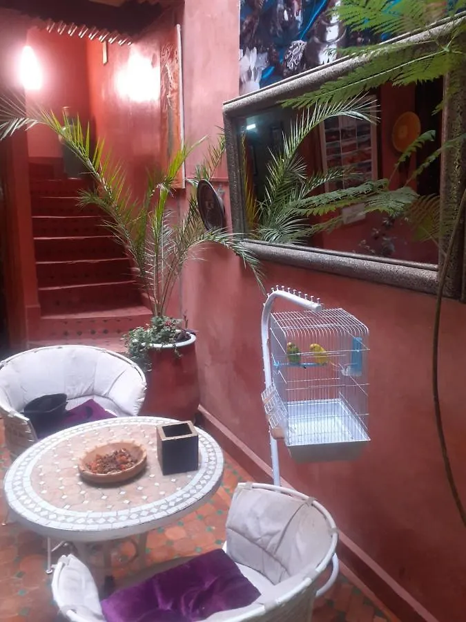 Riad Hanafi Μαρακές Πανσιόν